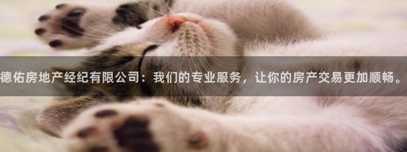 新宝5公司：德佑房地产经纪有限公司：我们的专业服务，让你的房