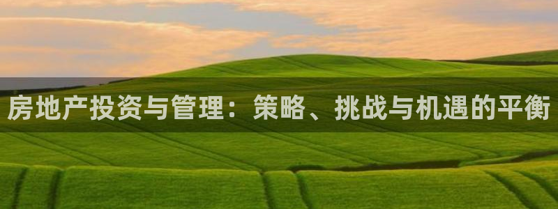 新宝5平台登录：房地产投资与管理：策略、挑战与机遇的平衡
