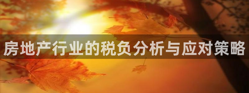新宝5在哪里：房地产行业的税负分析与应对策略