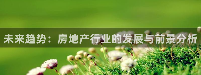 新宝5测登录：未来趋势：房地产行业的发展与前景分析