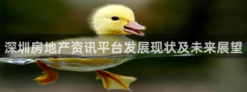 新宝5黑彩：深圳房地产资讯平台发展现状及未来展望