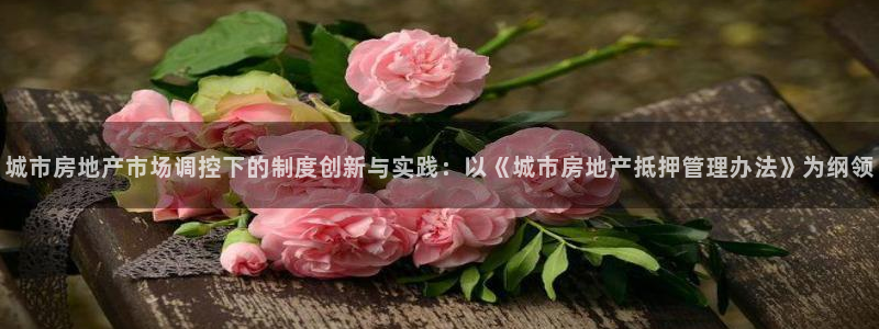 新宝5 测速：城市房地产市场调控下的制度创新与实践：以《城市