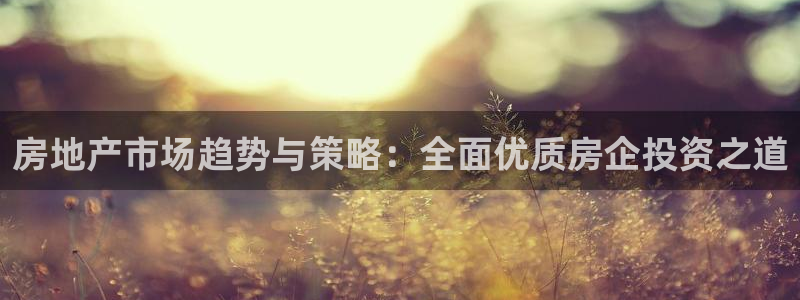 新宝5是谁：房地产市场趋势与策略：全面优质房企投资之道