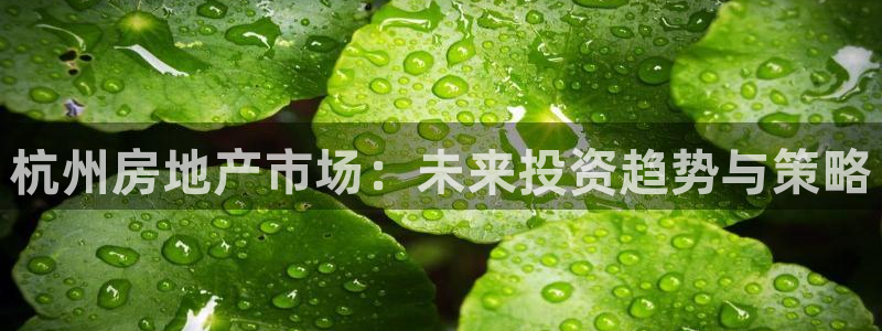 新宝骏rc5W：杭州房地产市场：未来投资趋势与策略
