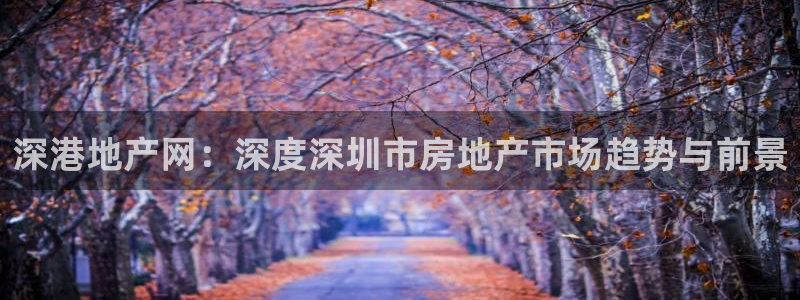 i新宝5：深港地产网：深度深圳市房地产市场趋势与前景