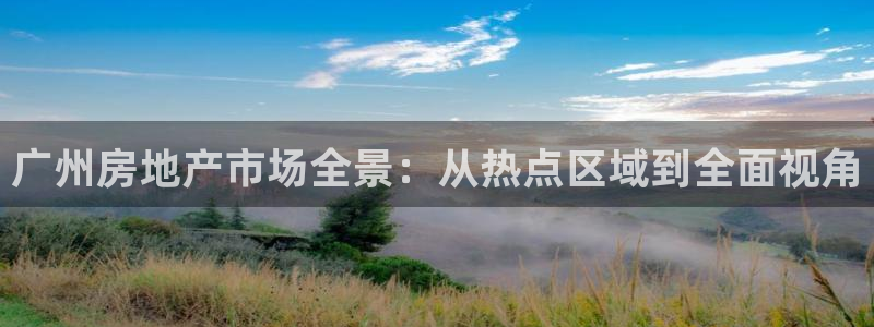 新宝5吕74OOO5：广州房地产市场全景：从热点区域到全面视