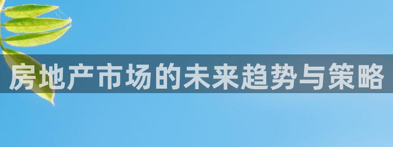 新宝5怎么代理：房地产市场的未来趋势与策略