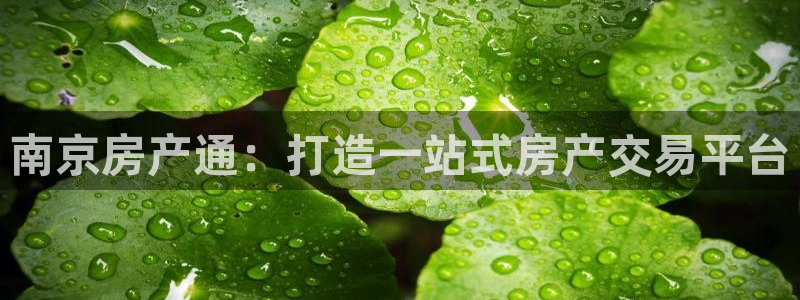 新宝5可靠吗：南京房产通：打造一站式房产交易平台