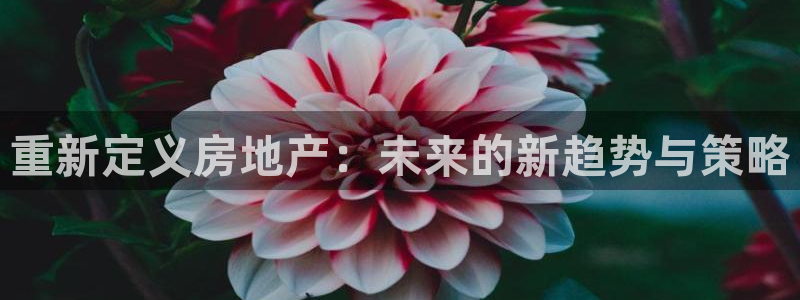 新宝5链接：重新定义房地产：未来的新趋势与策略