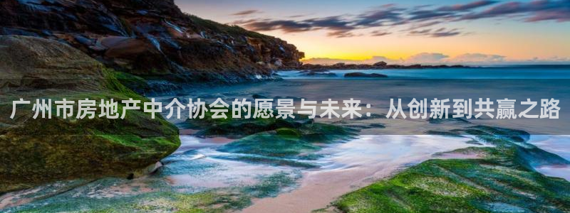 新宝5娱乐注：广州市房地产中介协会的愿景与未来：从创新到共赢