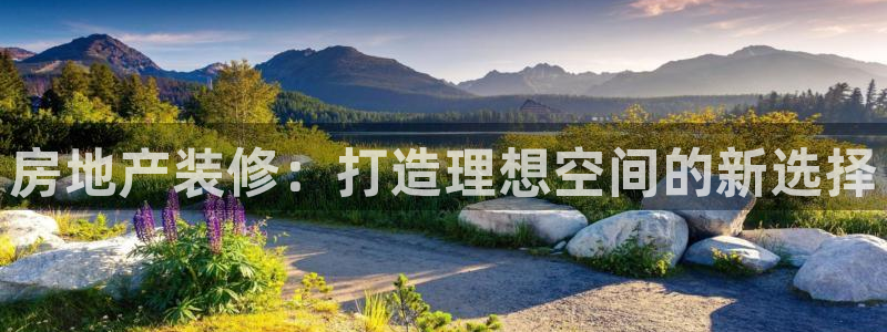 新宝5线路：房地产装修：打造理想空间的新选择