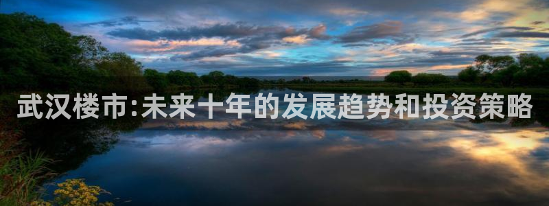 新宝5后：武汉楼市:未来十年的发展趋势和投资策略