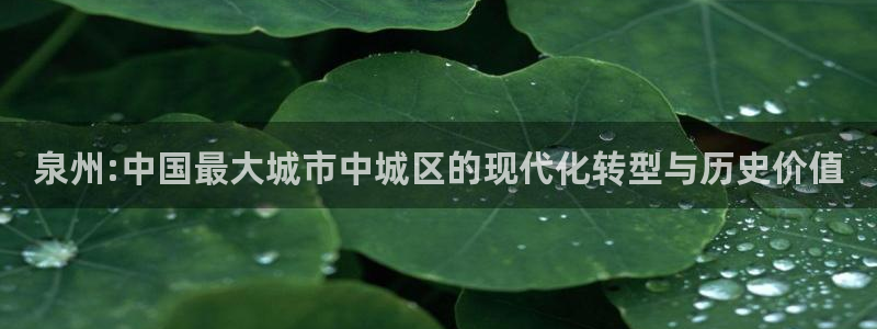 新宝5app手机下载