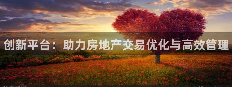 新宝5娱乐没