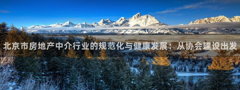 新宝5官网霸：北京市房地产中介行业的规范化与健康发展：从协会
