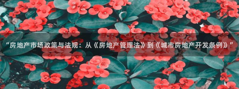 新宝5是谁的