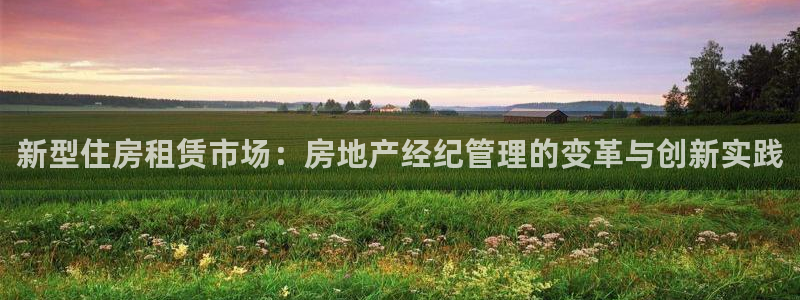 新宝5手机登录：新型住房租赁市场：房地产经纪管理的变革与创新