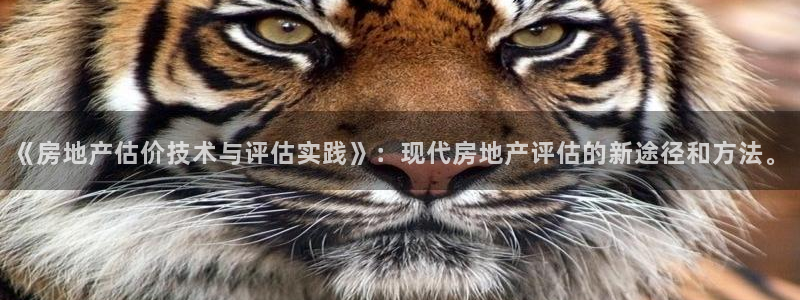 新宝5策略：《房地产估价技术与评估实践》：现代房地产评估的新