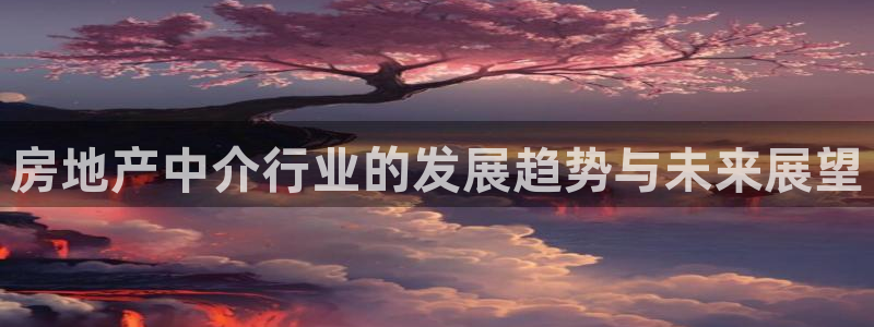 新宝5 测速：房地产中介行业的发展趋势与未来展望