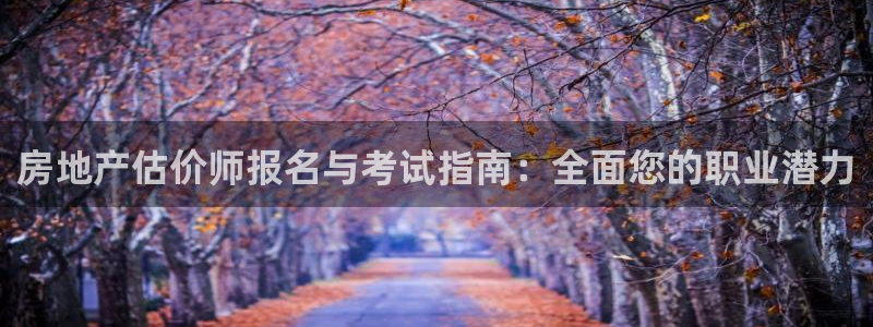 新宝5官方登录入口：房地产估价师报名与考试指南：全面您的职业