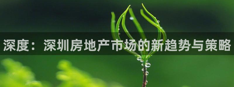 新宝5手机版：深度：深圳房地产市场的新趋势与策略