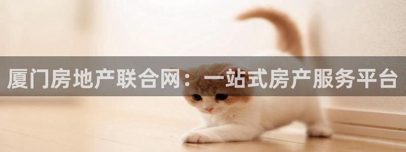 新宝新5：厦门房地产联合网：一站式房产服务平台