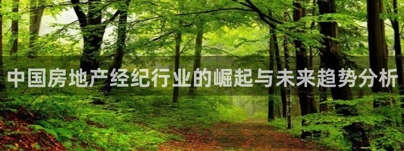 新宝5策略