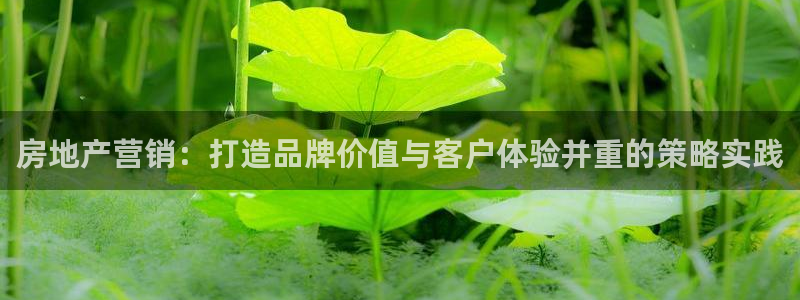 新宝5测速登录：房地产营销：打造品牌价值与客户体验并重的策略