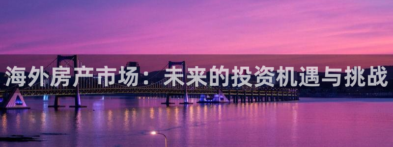 新宝5首页：海外房产市场：未来的投资机遇与挑战