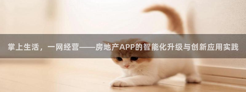 新宝5口67五壹叁八：掌上生活，一网经营——房地产APP的智