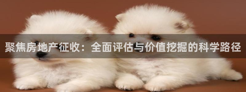 新宝5 唯一：聚焦房地产征收：全面评估与价值挖掘的科学路径