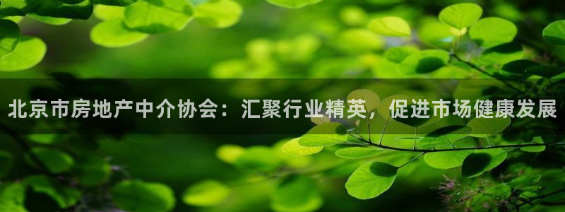 新宝5娱乐同：北京市房地产中介协会：汇聚行业精英，促进市场健