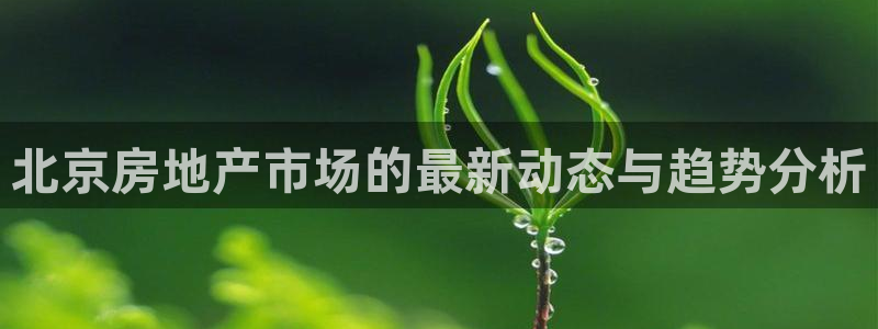新宝 5测速：北京房地产市场的最新动态与趋势分析