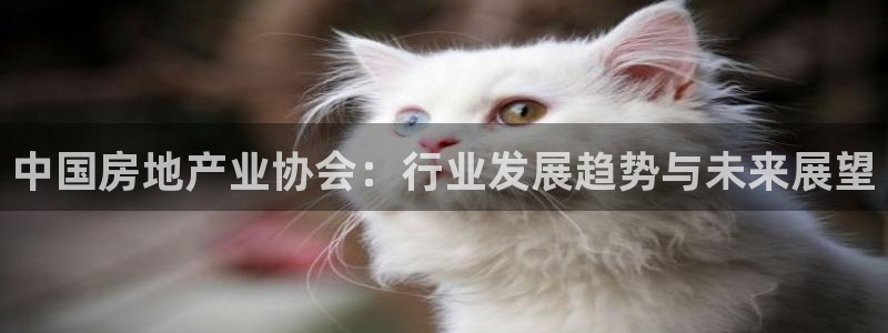 新宝5网：中国房地产业协会：行业发展趋势与未来展望