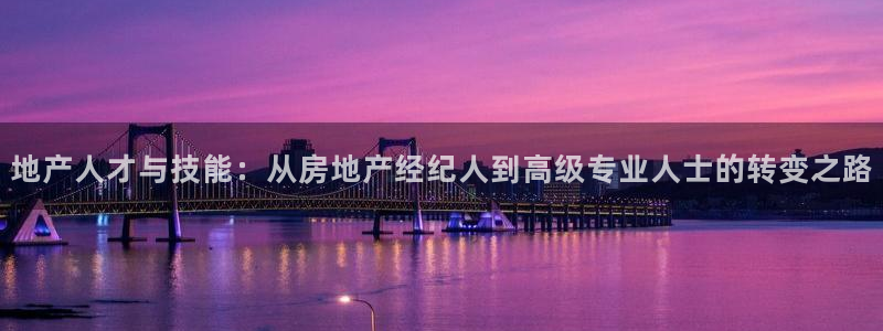 新宝5娱乐如：地产人才与技能：从房地产经纪人到高级专业人士的