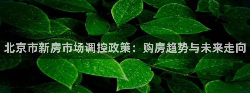 新宝5平台登录下载软件：北京市新房市场调控政策：购房趋势与未