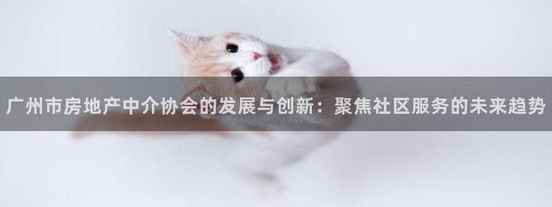 新宝5周74OOO5：广州市房地产中介协会的发展与创新：聚焦