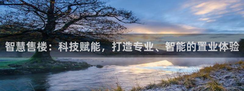 新宝5登录不了：智慧售楼：科技赋能，打造专业、智能的置业体验