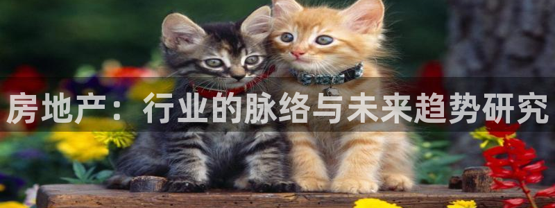 新宝5开好：房地产：行业的脉络与未来趋势研究