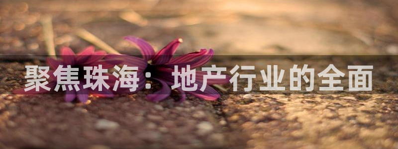新宝5登录注册：聚焦珠海：地产行业的全面