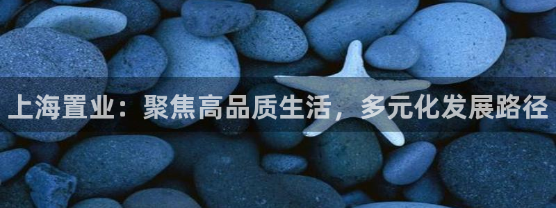 老新宝5授权登录：上海置业：聚焦高品质生活，多元化发展路径