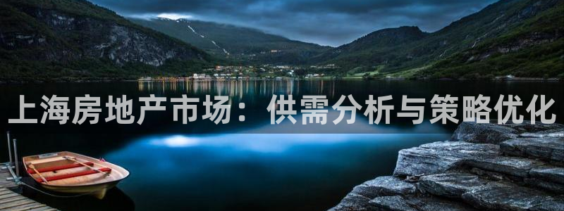 新宝那2O5O5O：上海房地产市场：供需分析与策略优化