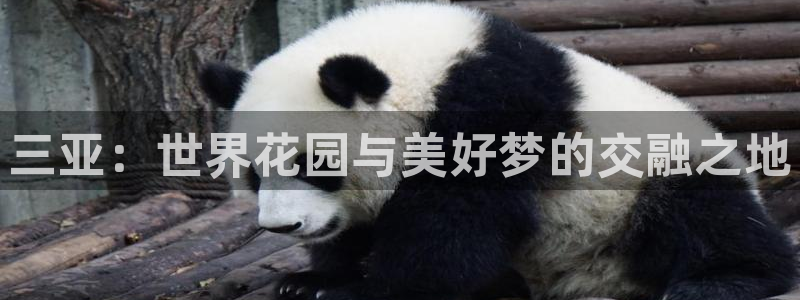 新宝5注册霸：三亚：世界花园与美好梦的交融之地