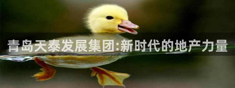 新宝5下载测试：青岛天泰发展集团:新时代的地产力量