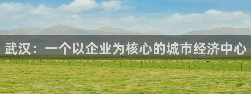 新宝5_测：武汉：一个以企业为核心的城市经济中心