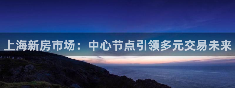 新宝5官方登录入口：上海新房市场：中心节点引领多元交易未来