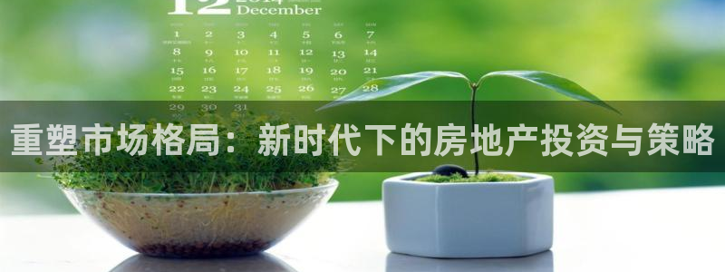 新宝5是什么样子的：重塑市场格局：新时代下的房地产投资与策略