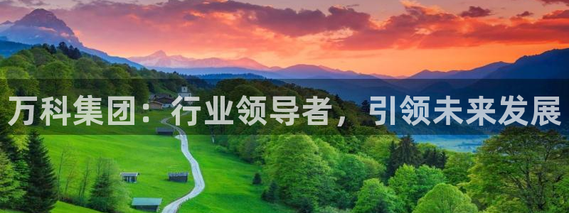 新宝5周74OOO5：万科集团：行业领导者，引领未来发展