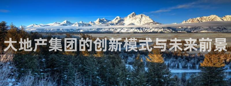 新宝5测登录：大地产集团的创新模式与未来前景