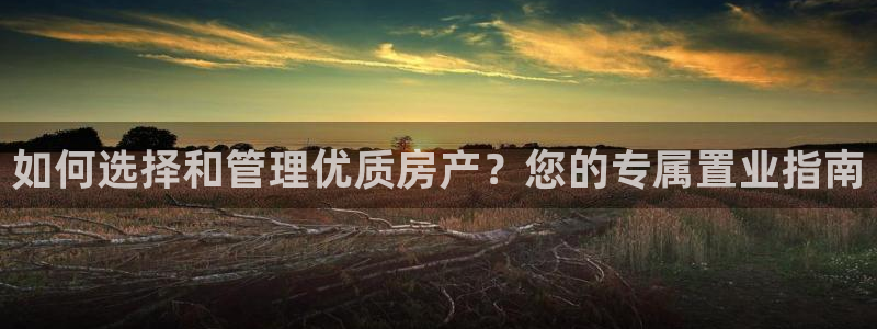 新宝5-：如何选择和管理优质房产？您的专属置业指南